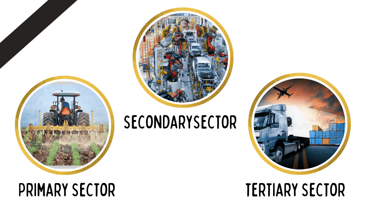 What Are Primary Secondary And Tertiary Sectors? | Types Of Economic ...