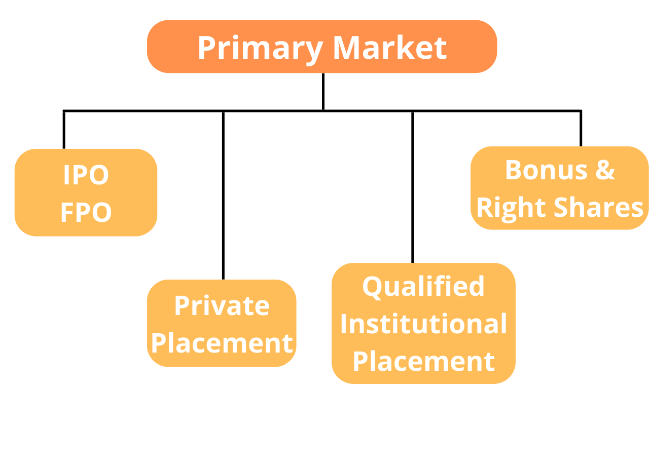 What Is Meant By Primary Market? | Definition, Types, Function ...